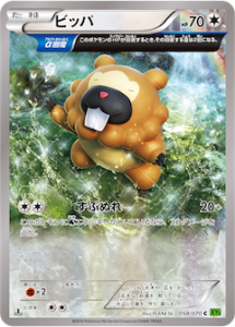 XY5_01